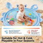 2in1 Interactive Tummy Time Toy & Play Mat